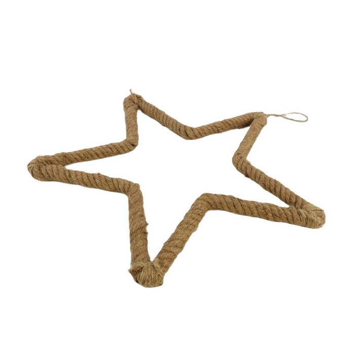 <h4>Opruiming Kerst Deco hanger ster 40cm</h4>
