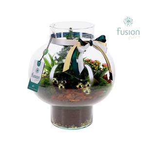 Green Bottle Laura Medium met Kerst Arrangement