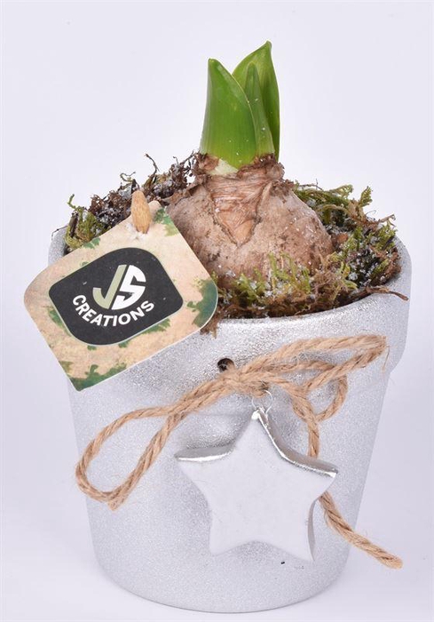 <h4>Keramiek met zilver ster 10cm</h4>