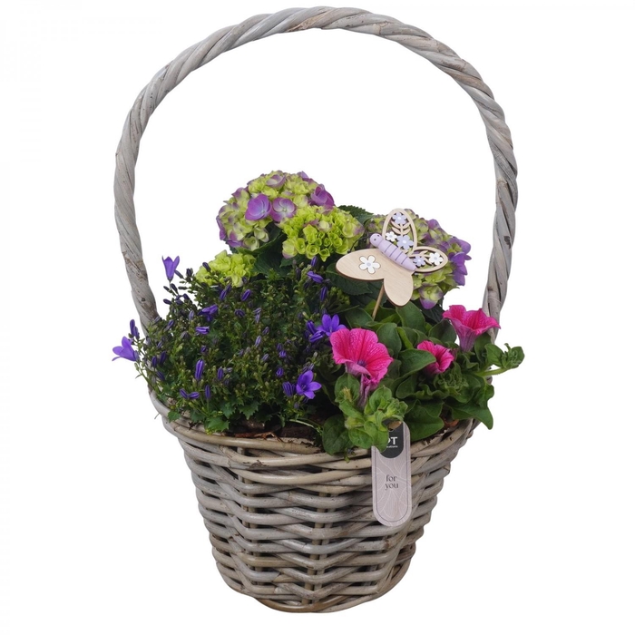 <h4>PTPP7030 Arrangement Patio in rieten mand</h4>
