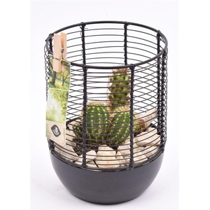 Metaal gaas planter zwart 12cm