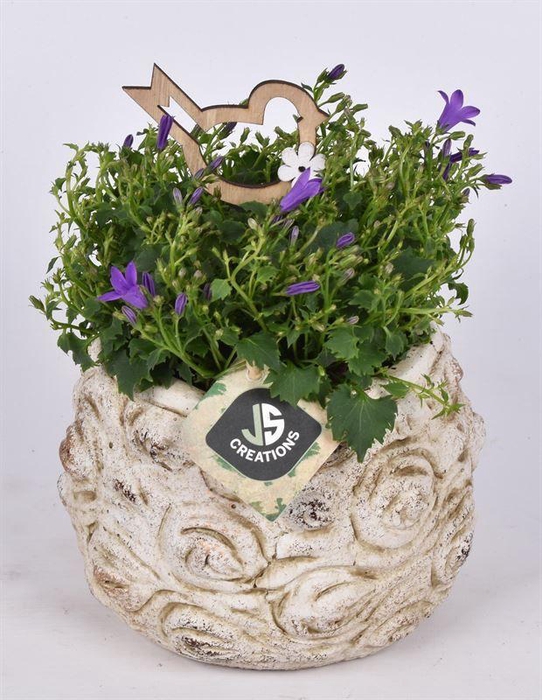 <h4>Cement pot bloemdecor 13,5cm</h4>