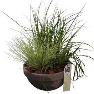 Arr.   Tuinplanten L%