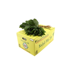 Salal Tips Box WBE