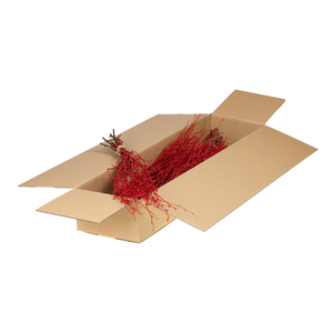 Birch 60cm Sb Red R Glt