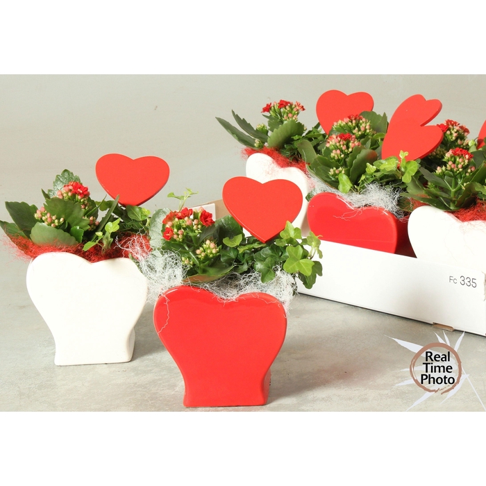 <h4>ARR KAMERPL</h4>