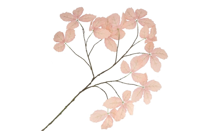 <h4>Silk Leaf Chestnut Champagne 135cm Nm</h4>