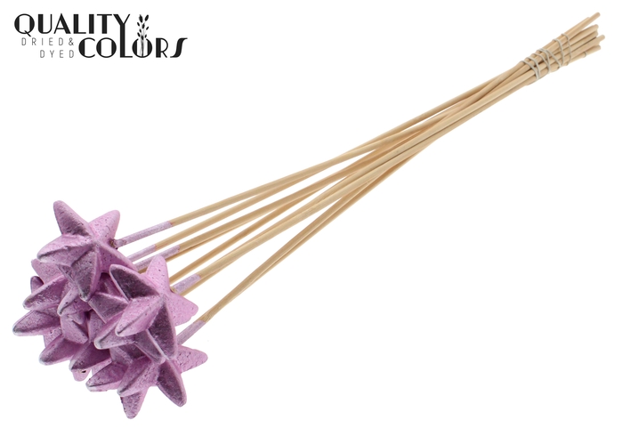 Styro Star flat type on stem Metallic Pink