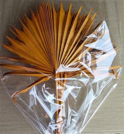 <h4>Bunch Palm Sun 6 Pcs Slv L45W30</h4>