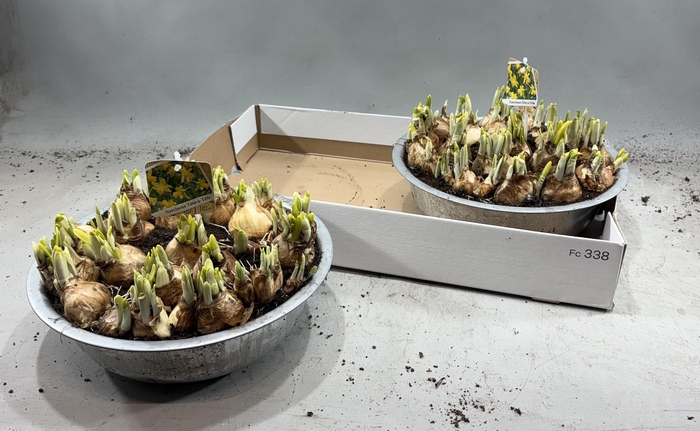 <h4>ARR N TETE A TETE</h4>