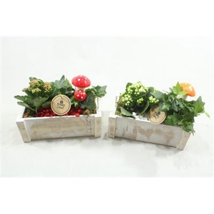 5110 WIT KISTJE RD/WIT