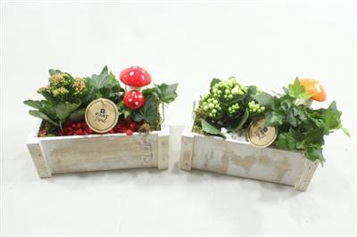 <h4>5110 WIT KISTJE RD/WIT</h4>