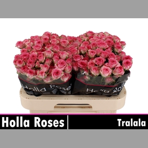 R TR TRALALA