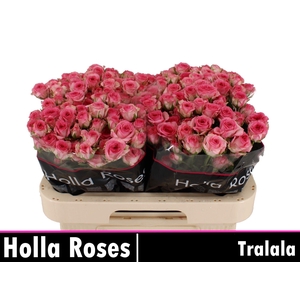 R TR TRALALA