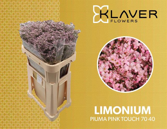 LIM PIUMA PINK TOUCH