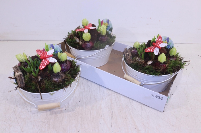 <h4>ARR BOL KNOLGEWAS</h4>