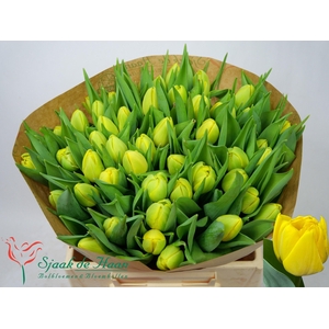 TU DU DOUBLE TROUBLE