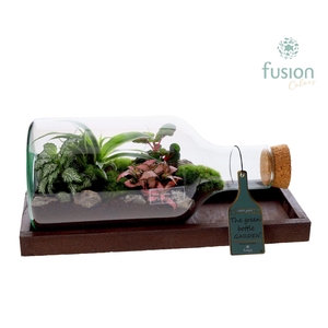 Green Bottle Fles Small liggend met groene planten