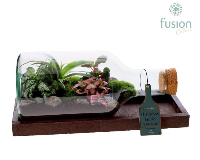 <h4>Green Bottle Fles Small liggend met groene planten</h4>