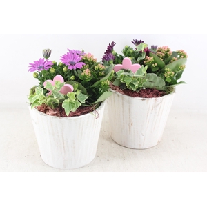 arr4 Outdoor MB - Hout pot white 483/3