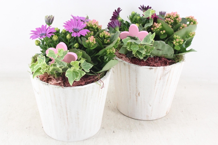 <h4>arr4 Outdoor MB - Hout pot white 483/3</h4>