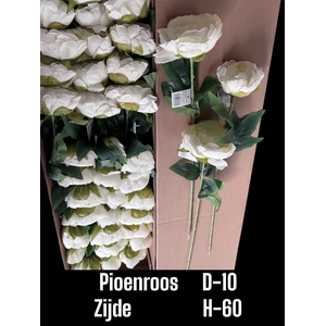 HUIS EN TUINDECO H%