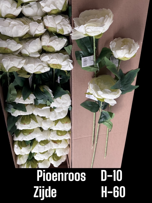 <h4>HUIS EN TUINDECO H%</h4>