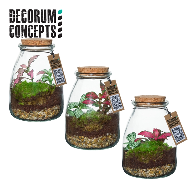 <h4>Terrarium IO (Decorum concepts)</h4>