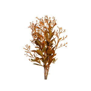 DEDO DE ANJO LARANJA