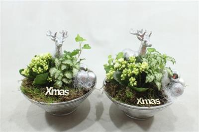 <h4>4351 WIT GLAS 23</h4>