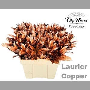 LAURIER COPPER