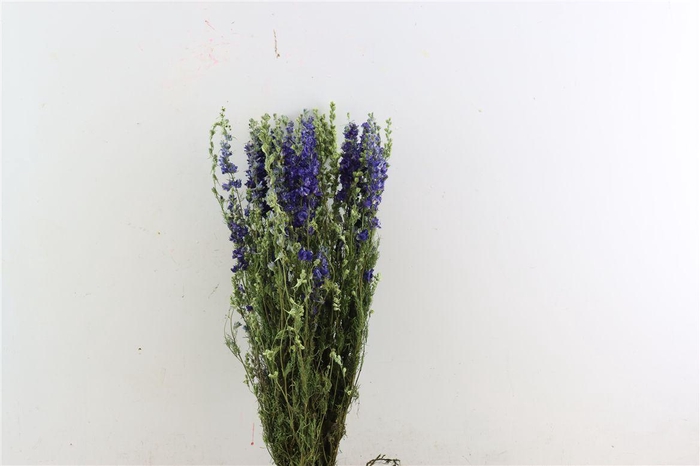 <h4>Dried Delphinium Blue Extra Bunch</h4>