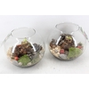 arr4 Amayllis MB - Glas bol XL red