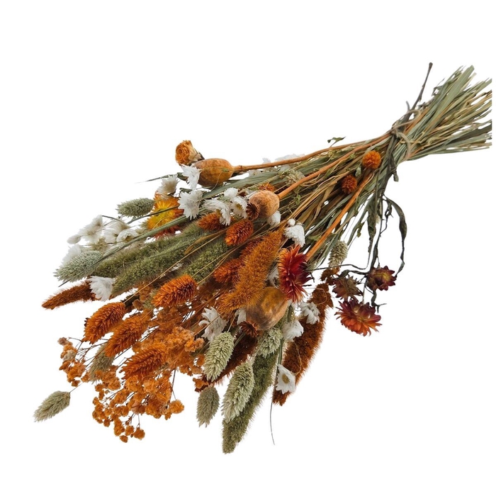 <h4>Droogbloem Boeket Cute 55cm</h4>
