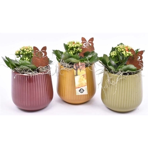 Keramiek pot kl.mix 10cm