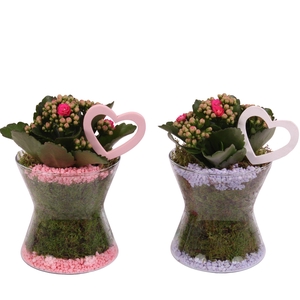 Mothersday Arr. Indoor Glass Hourglass Ø13cm 1PP