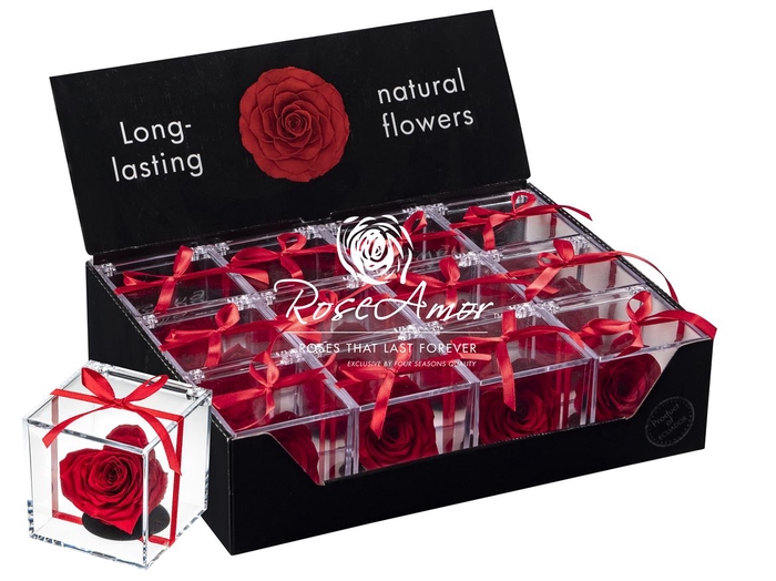 Display Gb14 Corazon Red02