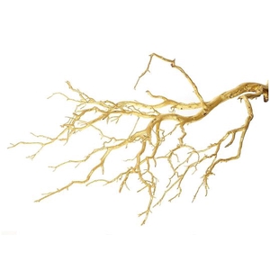 Branch Manzanita Gold H150