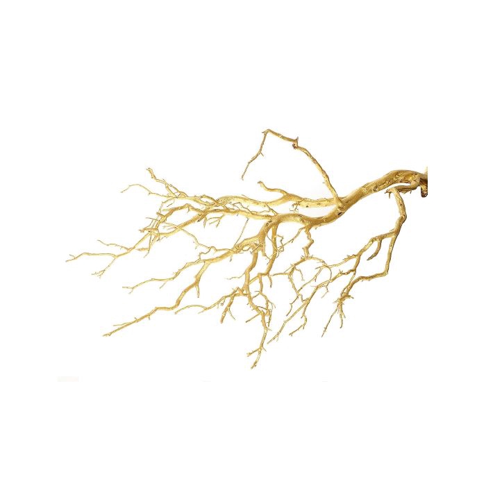 <h4>Branch Manzanita Gold H150</h4>