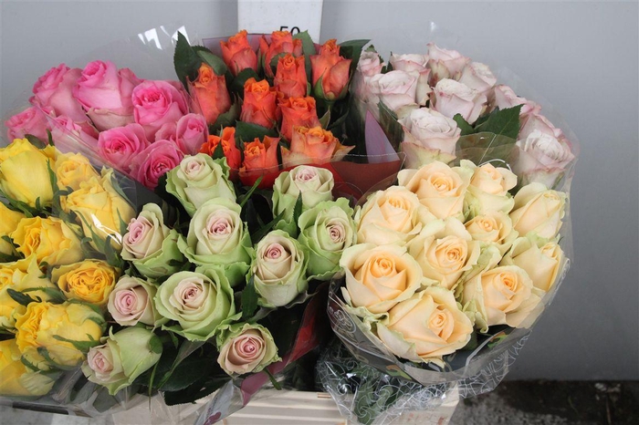 <h4>R Gr Gemengd In Fust</h4>