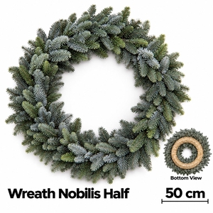 ABIES NOBILIS BLAUW