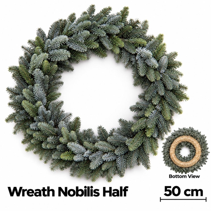 Abies Nobilis Blauw