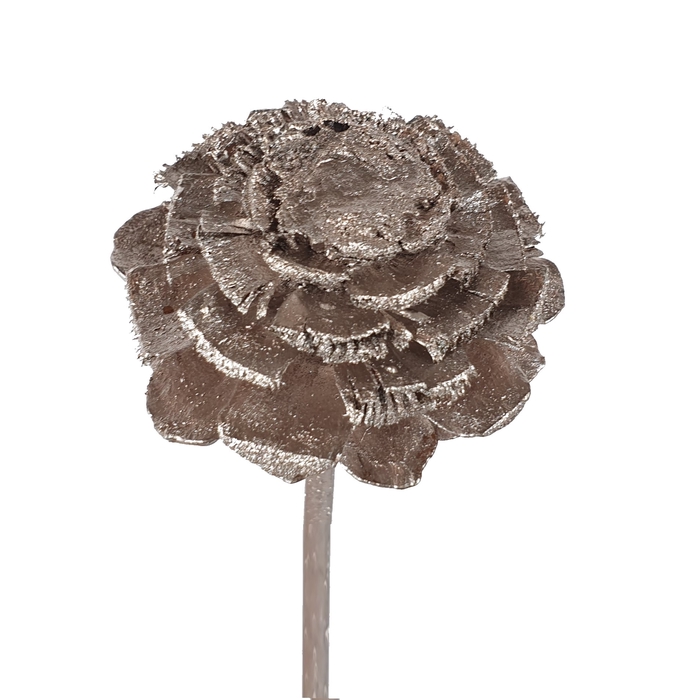 Pine cone cut 5-7cm on stem Champagne