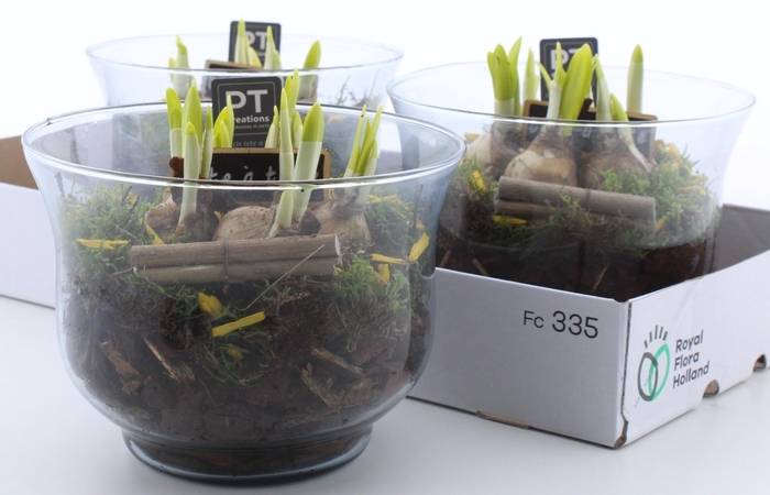 <h4>ARR N TETE A TETE</h4>