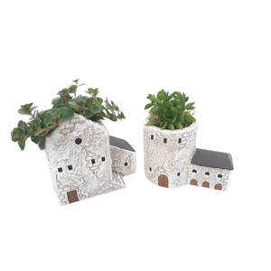 Arr.   Kamerplant Groen L%
