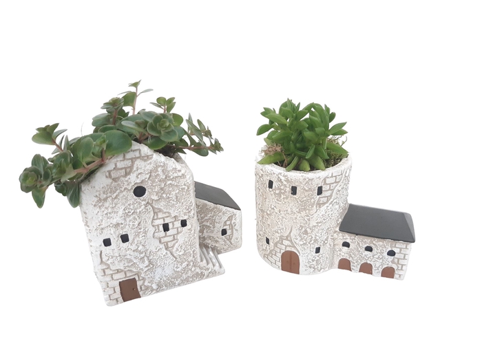 <h4>Arr.   Kamerplant Groen L%</h4>