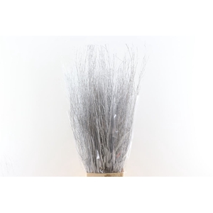 Branch 100cm Silver P Stem