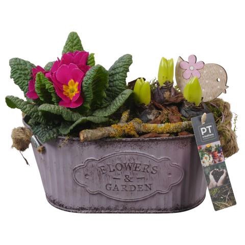 <h4>PTBM3766 Arrangement Flower Bulbs Mix in metalen pot</h4>