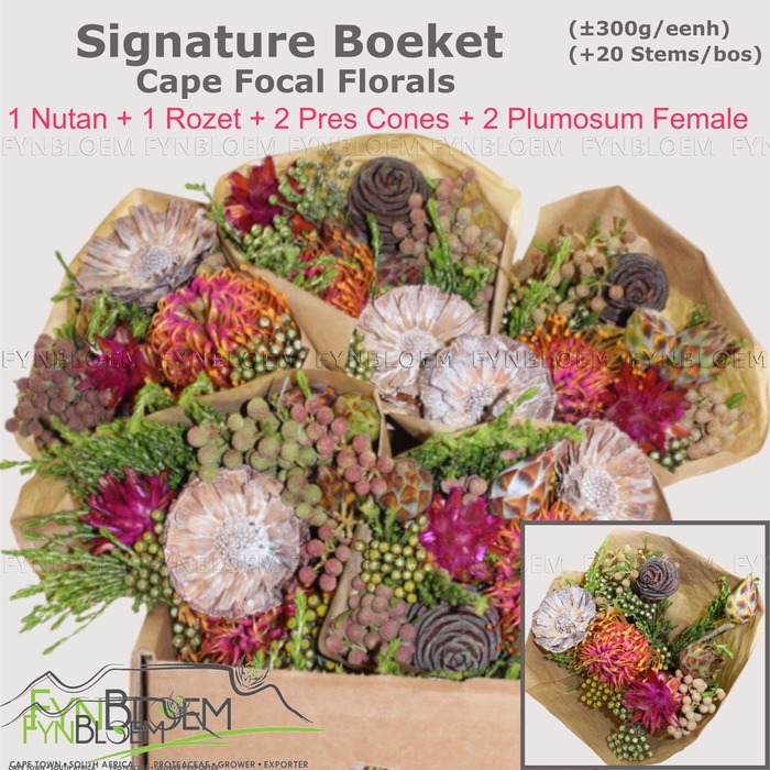 <h4>PROTEA PER BOS</h4>