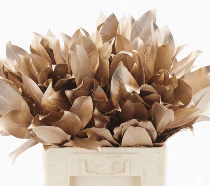 <h4>Magnolia Leafs Klb Champagne</h4>